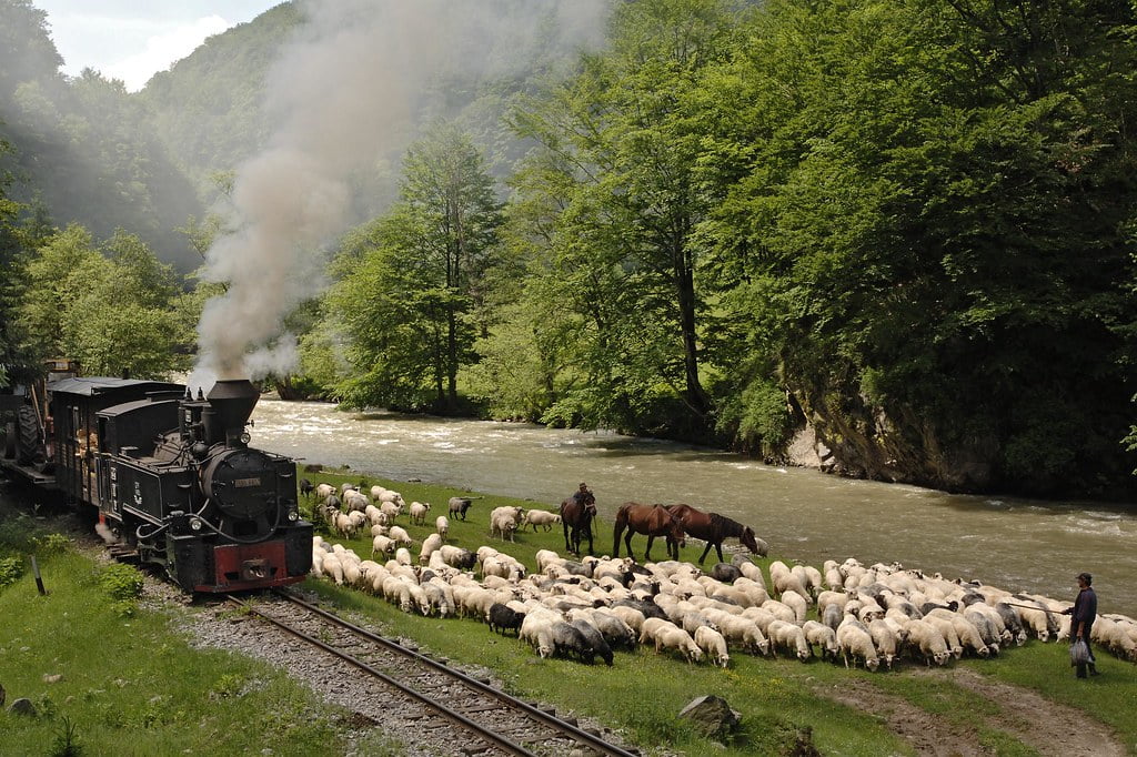 Maramureș