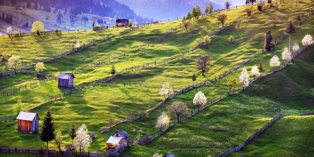 Transilvania